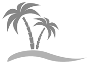 Beach Palm Tree Icon